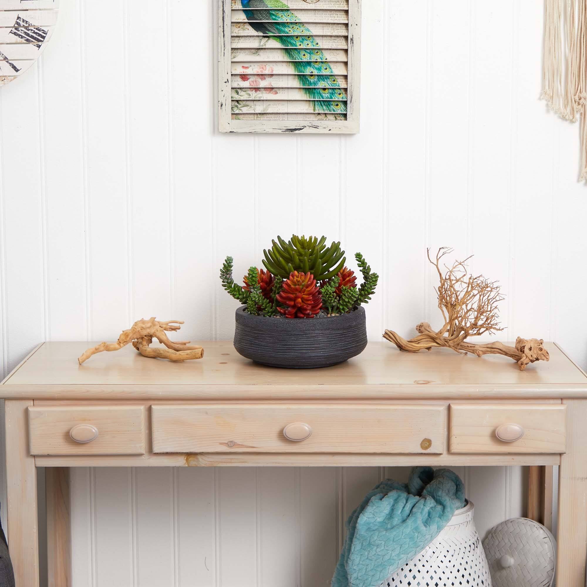 12in. Succulent Garden in Stone Bowl